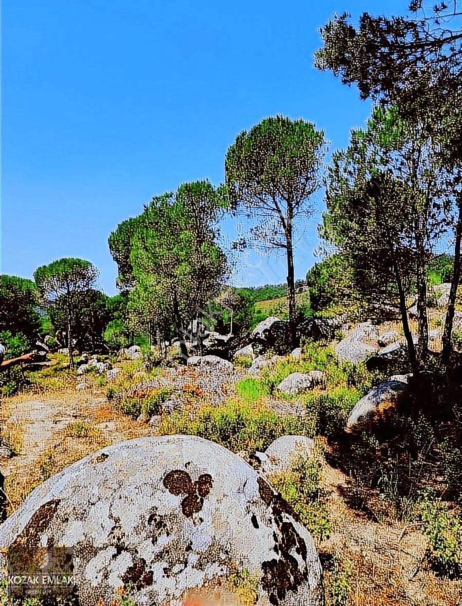 Kozak Emlak Bergama Okçular Fıstık Çamlığı Tarım İmarlı Satılık - Görsel 17