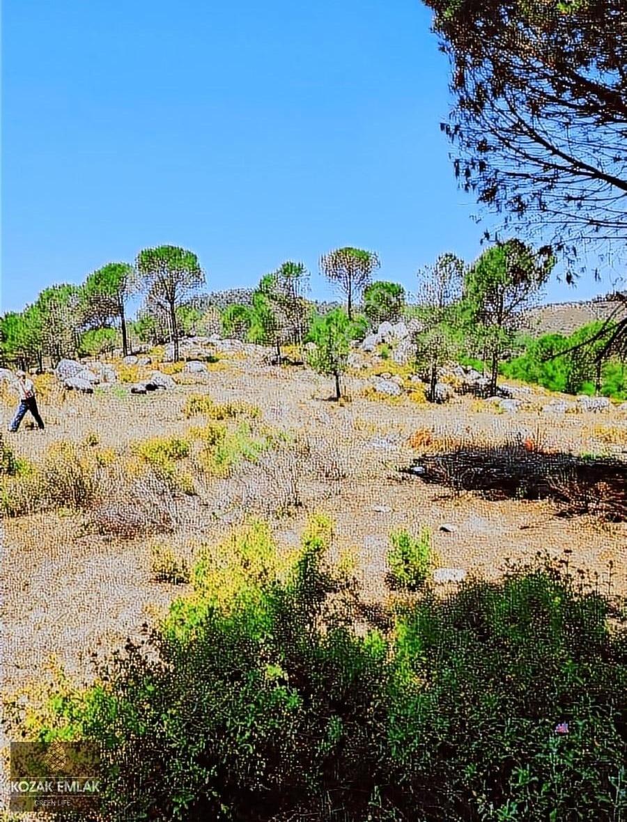 Kozak Emlak Bergama Okçular Fıstık Çamlığı Tarım İmarlı Satılık - Görsel 9