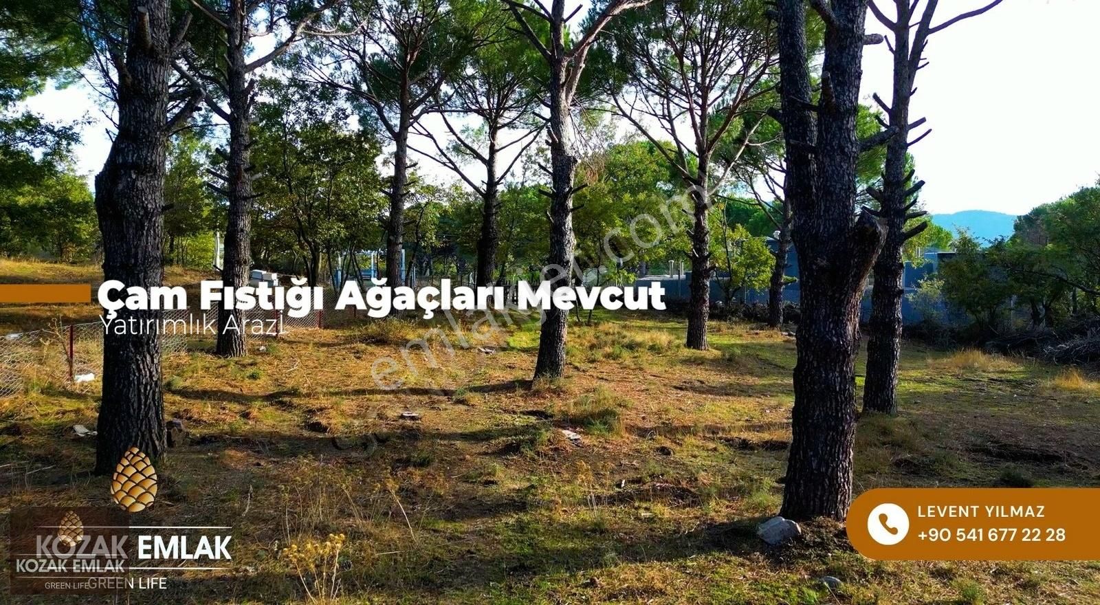 Kozak Emlak Bergama Kıranlı İmarlı Arsalar Satılık - Görsel 2