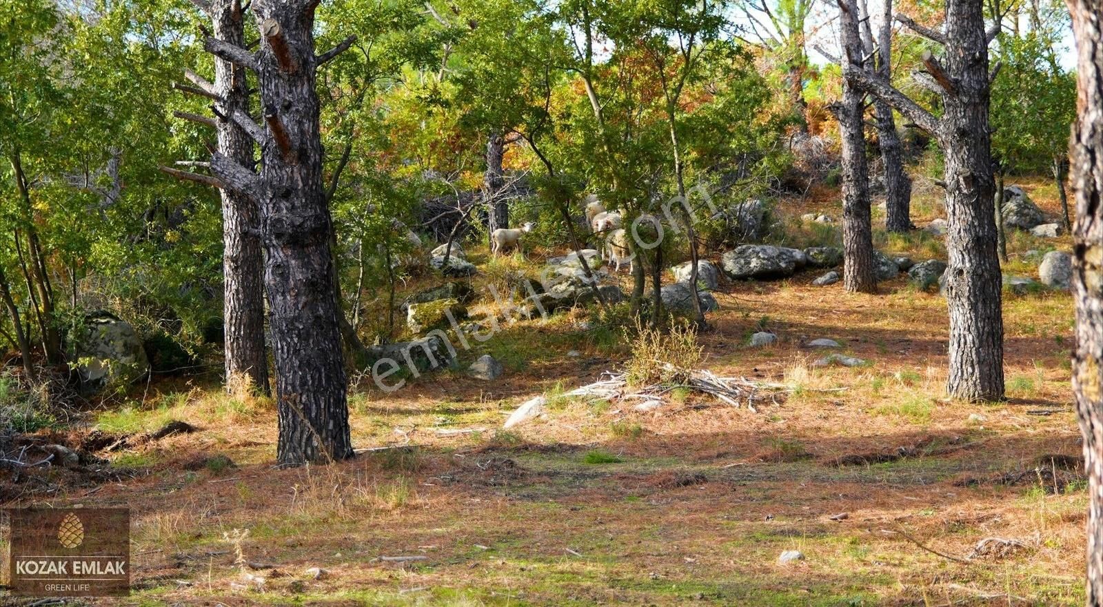 Kozak Emlak Bergama Kıranlı İmarlı Arsalar Satılık - Görsel 5