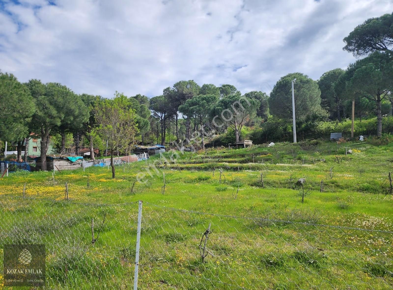 Bergama Kozak Hisar Köy İmarlı Arsa Satılık - Görsel 5