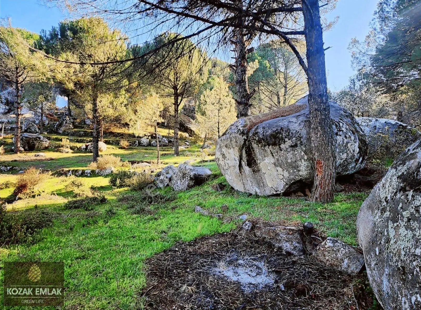 Kozak Emlak Bergama Hisar Köy İmarlı Arazi Satılık - Görsel 17