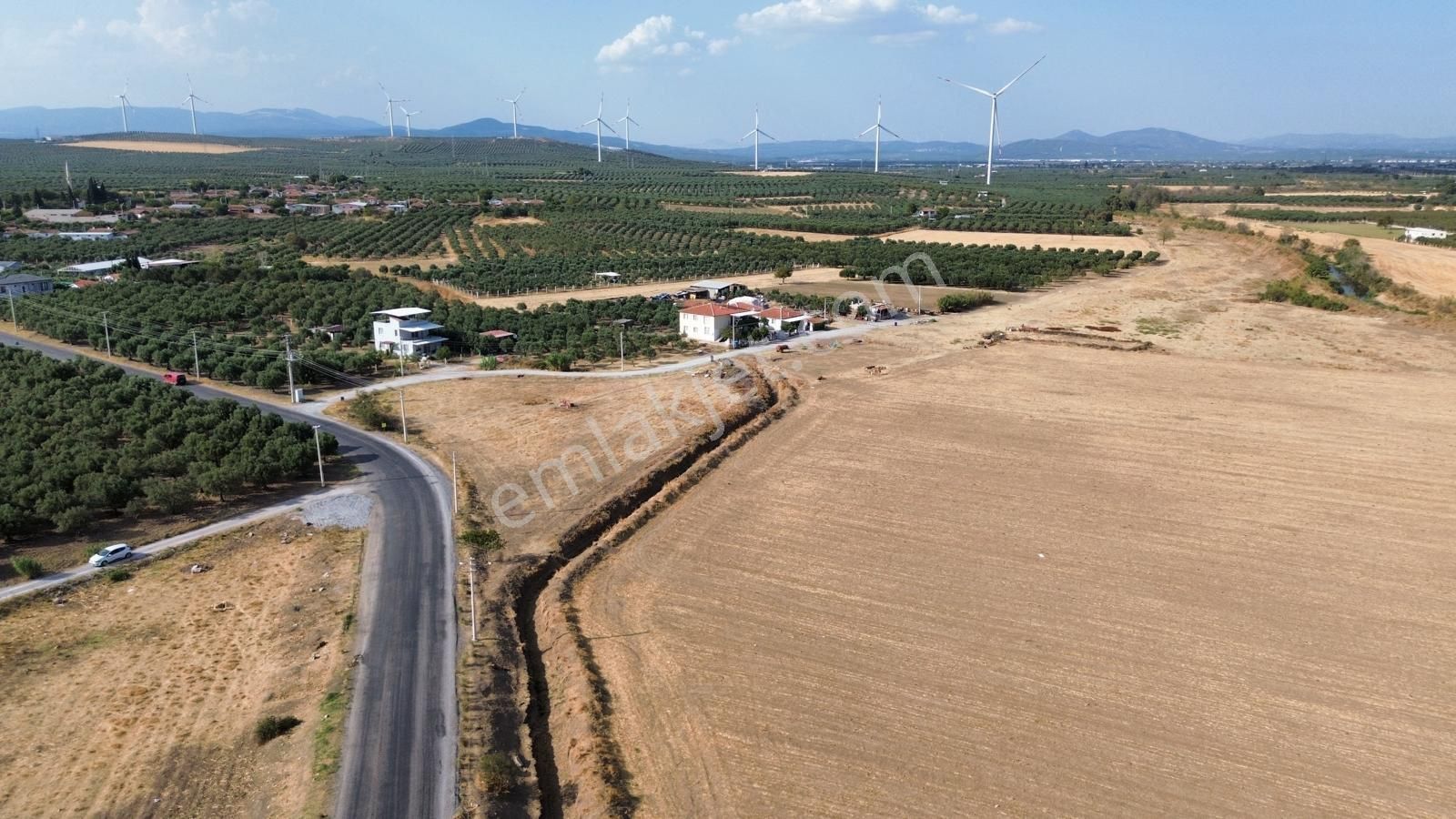 Akhisar Doğuca'da 2600 M2 Satılık Tek Tapu Zeytinlik - Görsel 12