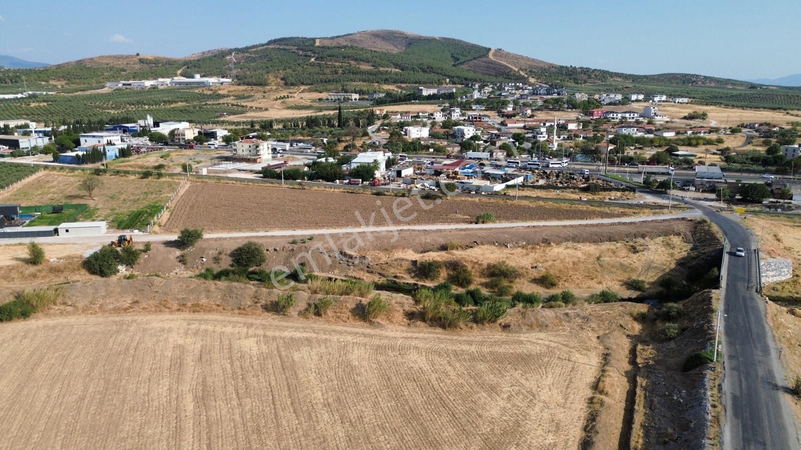 Akhisar Doğuca'da 2600 M2 Satılık Tek Tapu Zeytinlik - Görsel 10