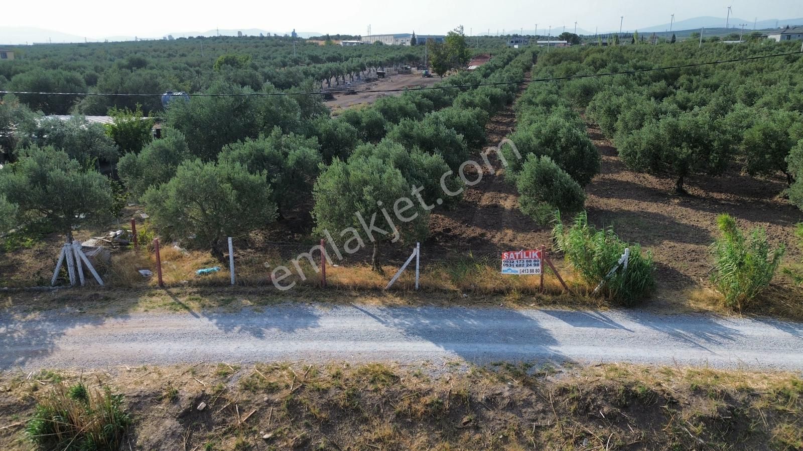 Akhisar Doğuca'da 2600 M2 Satılık Tek Tapu Zeytinlik - Görsel 15