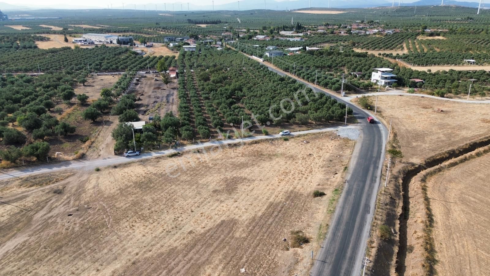 Akhisar Doğuca'da 2600 M2 Satılık Tek Tapu Zeytinlik - Görsel 14