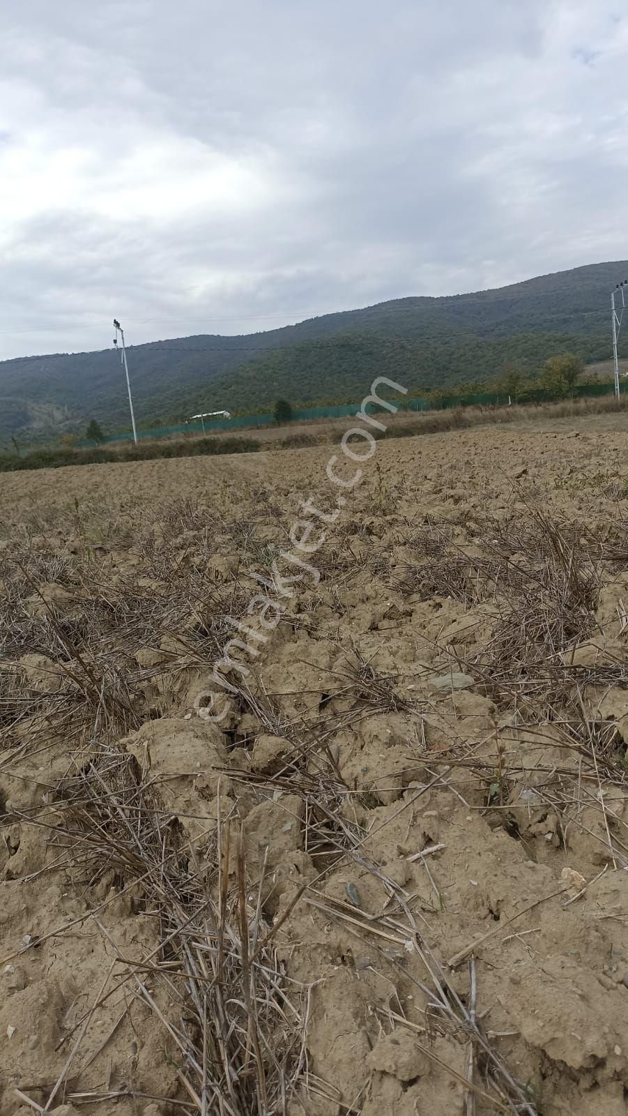 Rt Safirden Yenişehir Fethiye Köyü Asfalt Yola Cephe Satılık Tarla - Görsel 2