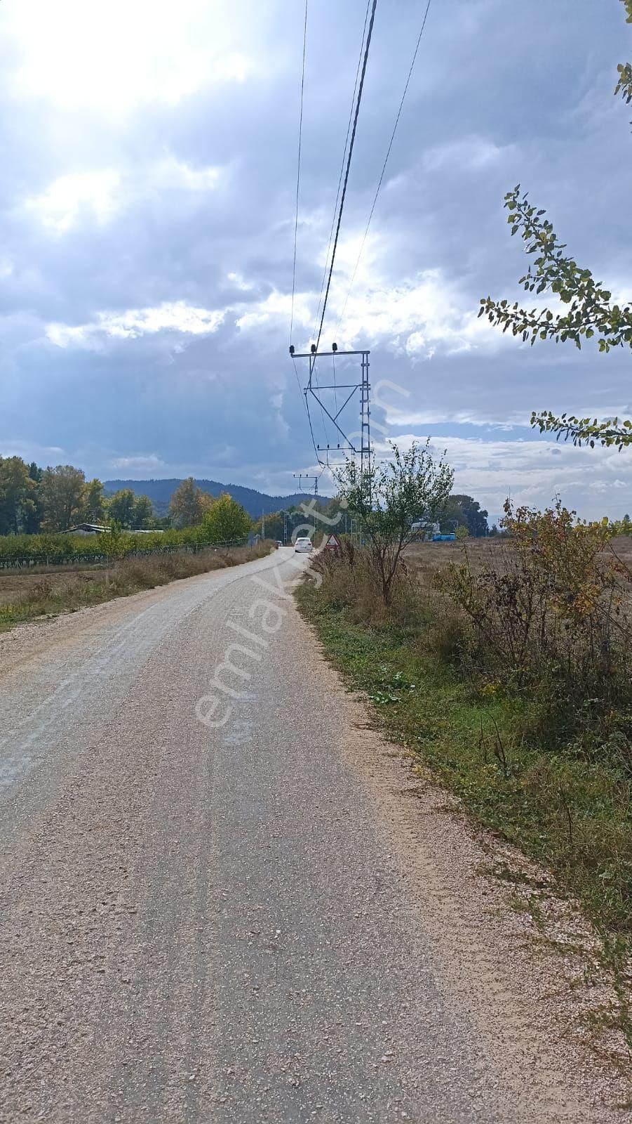 Rt Safirden Yenişehir Fethiye Köyü Asfalt Yola Cephe Satılık Tarla - Görsel 6