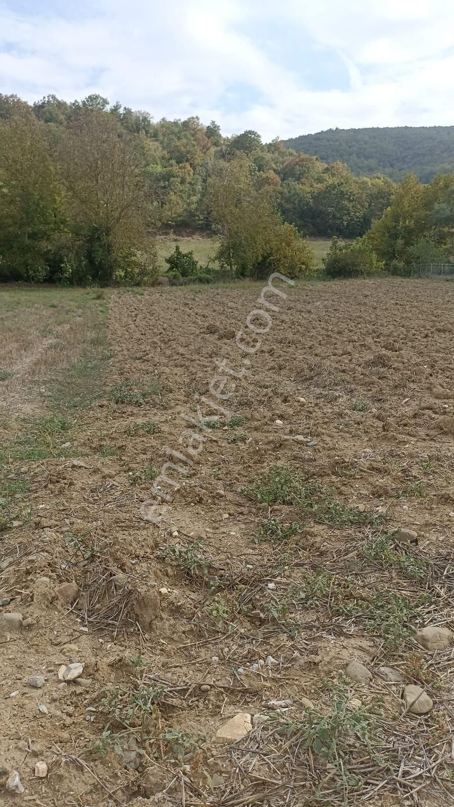 Rt Safirden Yenişehir Fethiye Köyü Asfalt Yola Cephe Satılık Tarla - Görsel 4