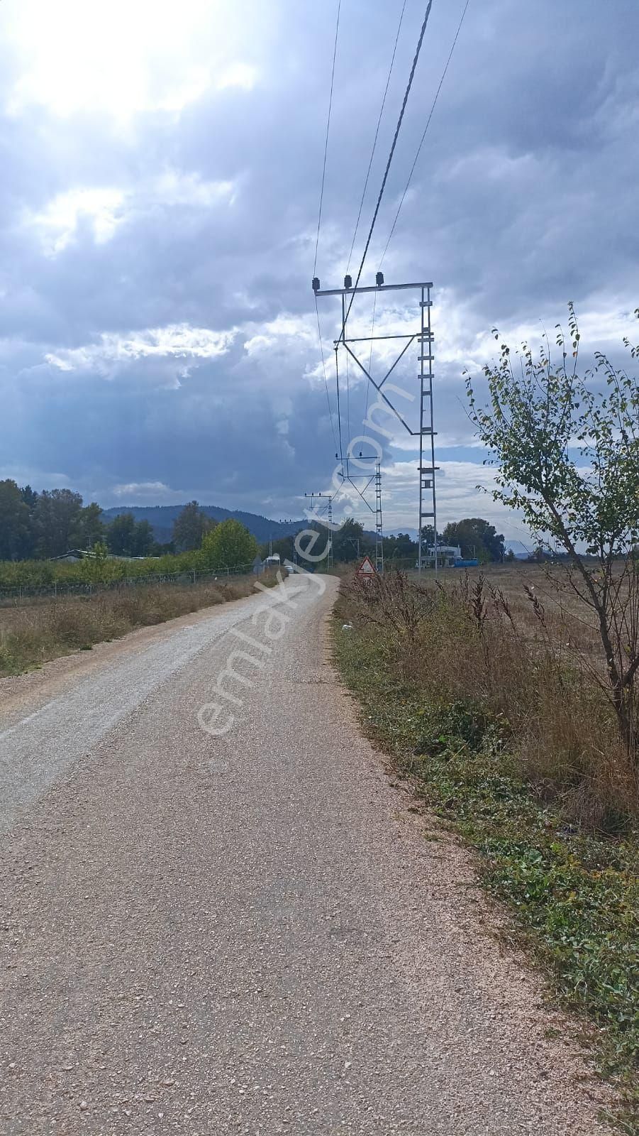 Rt Safirden Yenişehir Fethiye Köyü Asfalt Yola Cephe Satılık Tarla