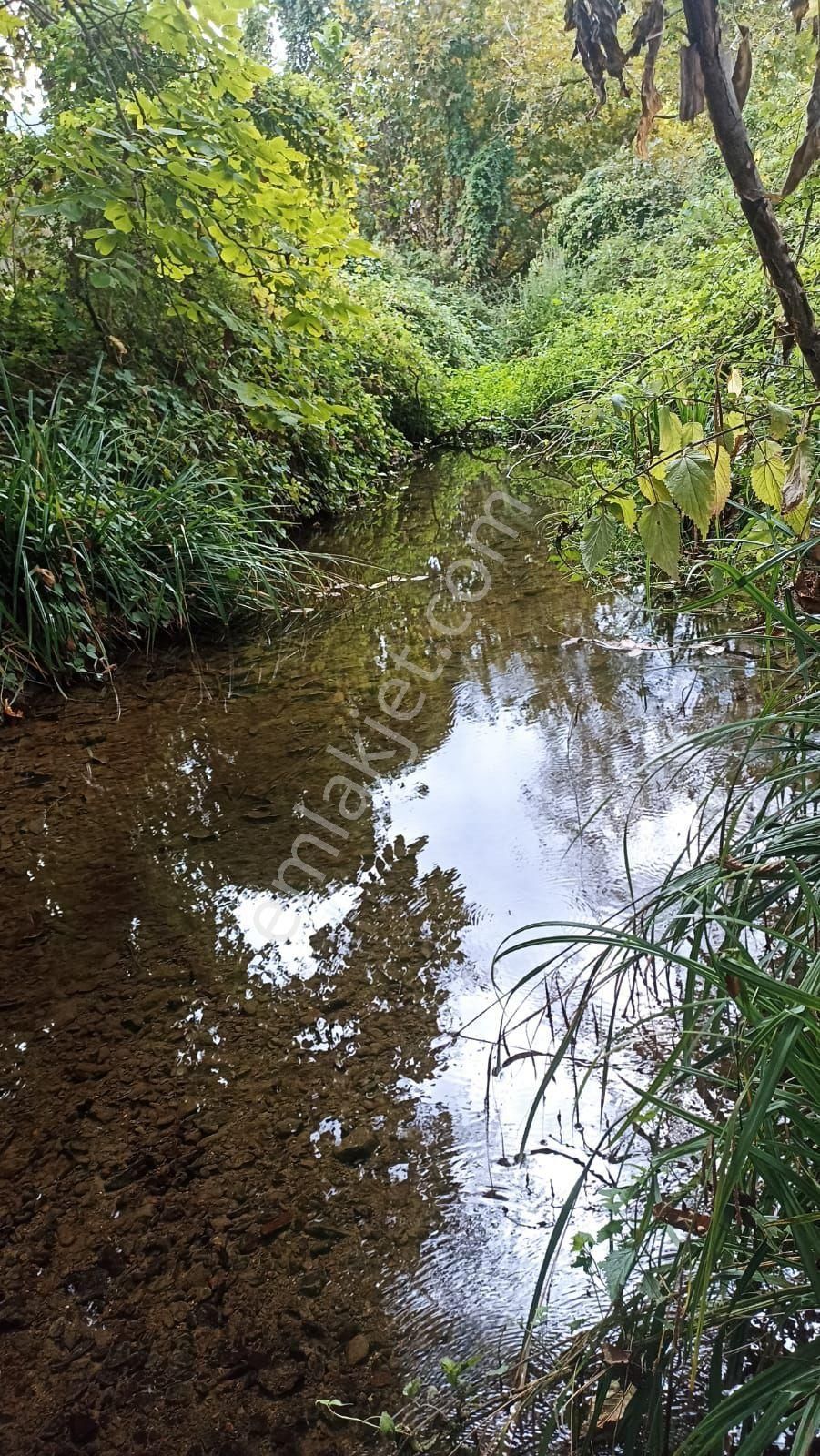 Rt Safirden Yenişehir Fethiye Köyü Asfalt Yola Cephe Satılık Tarla - Görsel 3