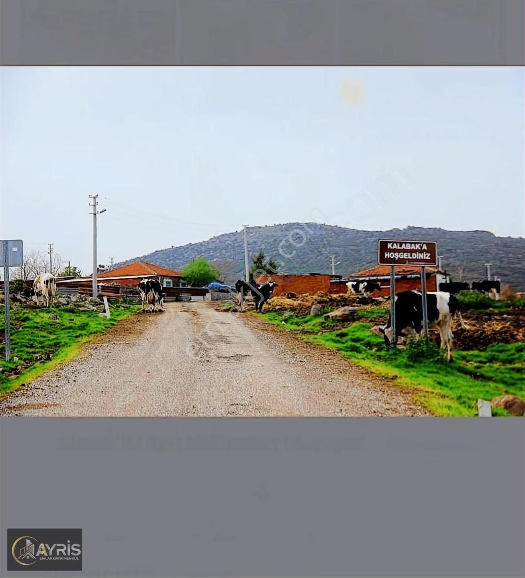 İzmir Aliağa Kalabak Köyü Köy İçi İmarlı Arsa