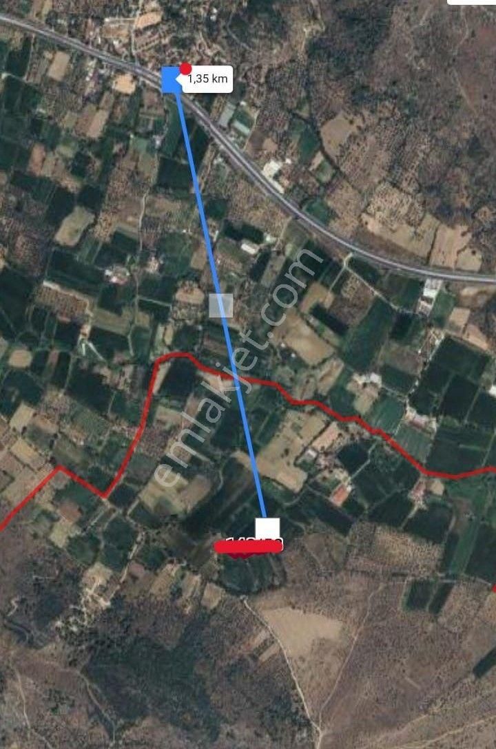 Muğla Milas Karayoluna Yakın Tarla - Görsel 3