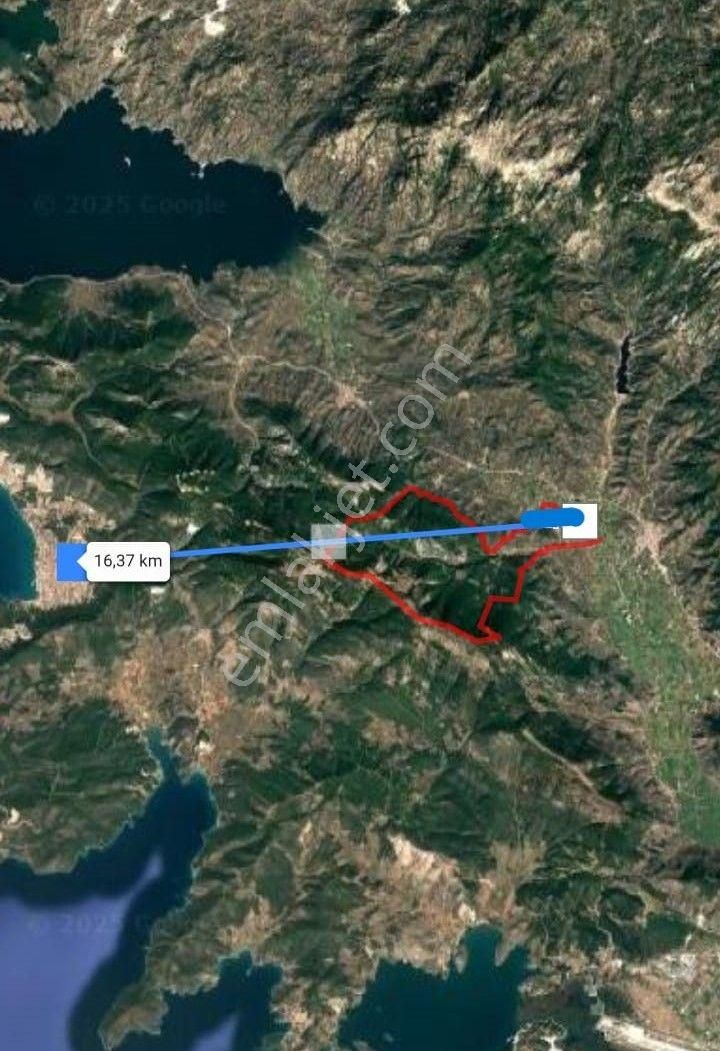 Muğla Milas Karayoluna Yakın Tarla - Görsel 4