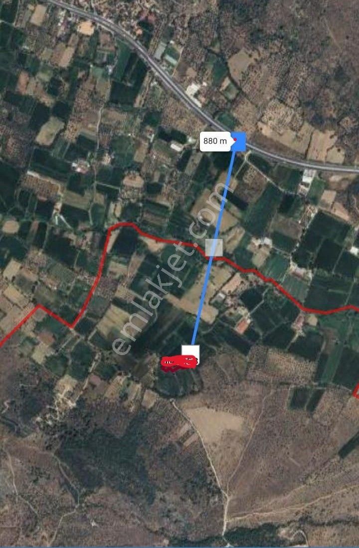 Muğla Milas Karayoluna Yakın Tarla