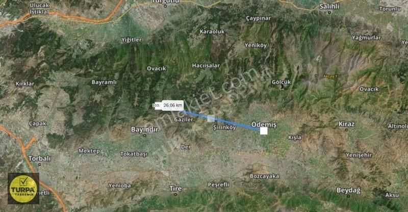 İzmir Bayındır Kızıloba'da Acil Satılık Zeytinlik Tarla - Görsel 3