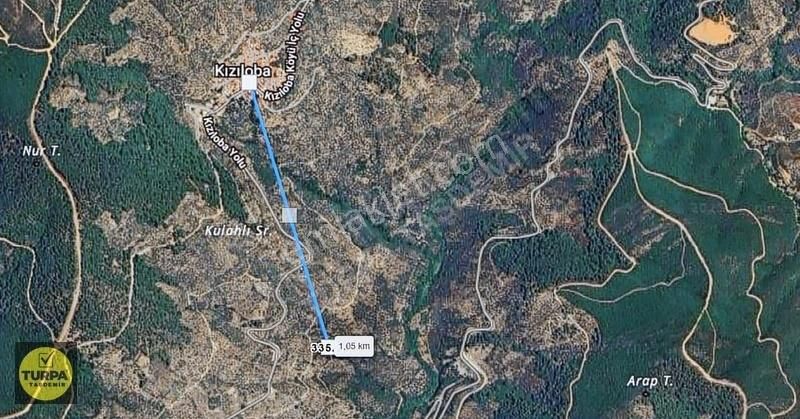 İzmir Bayındır Kızıloba'da Acil Satılık Zeytinlik Tarla - Görsel 4