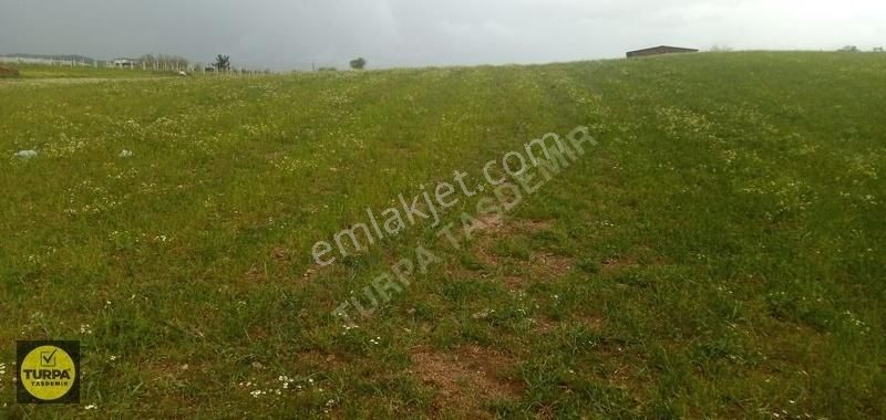 Turpa Taşdemir'den Menderes Develi'de 5.000 M2 Satılık Tarla - Görsel 10