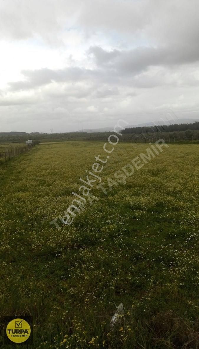 Turpa Taşdemir'den Menderes Develi'de 5.000 M2 Satılık Tarla - Görsel 12