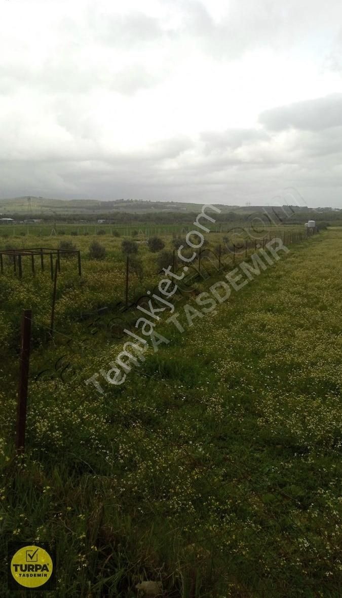 Turpa Taşdemir'den Menderes Develi'de 5.000 M2 Satılık Tarla - Görsel 3