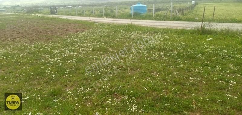 Turpa Taşdemir'den Menderes Develi'de 5.000 M2 Satılık Tarla - Görsel 16