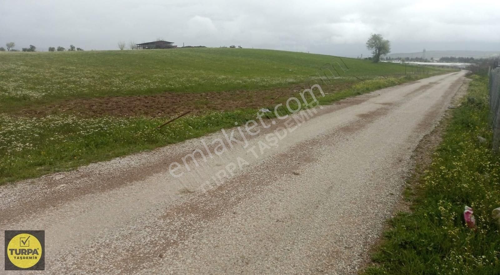 Turpa Taşdemir'den Menderes Develi'de 5.000 M2 Satılık Tarla - Görsel 6