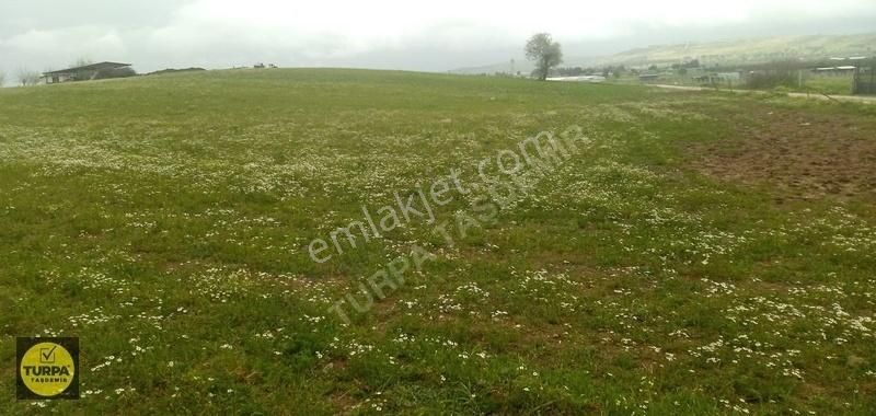 Turpa Taşdemir'den Menderes Develi'de 5.000 M2 Satılık Tarla - Görsel 7