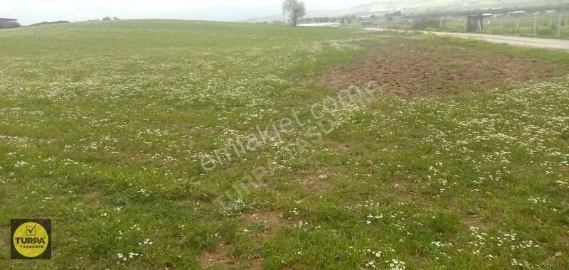 Turpa Taşdemir'den Menderes Develi'de 5.000 M2 Satılık Tarla - Görsel 5