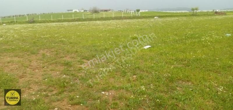 Turpa Taşdemir'den Menderes Develi'de 5.000 M2 Satılık Tarla - Görsel 2