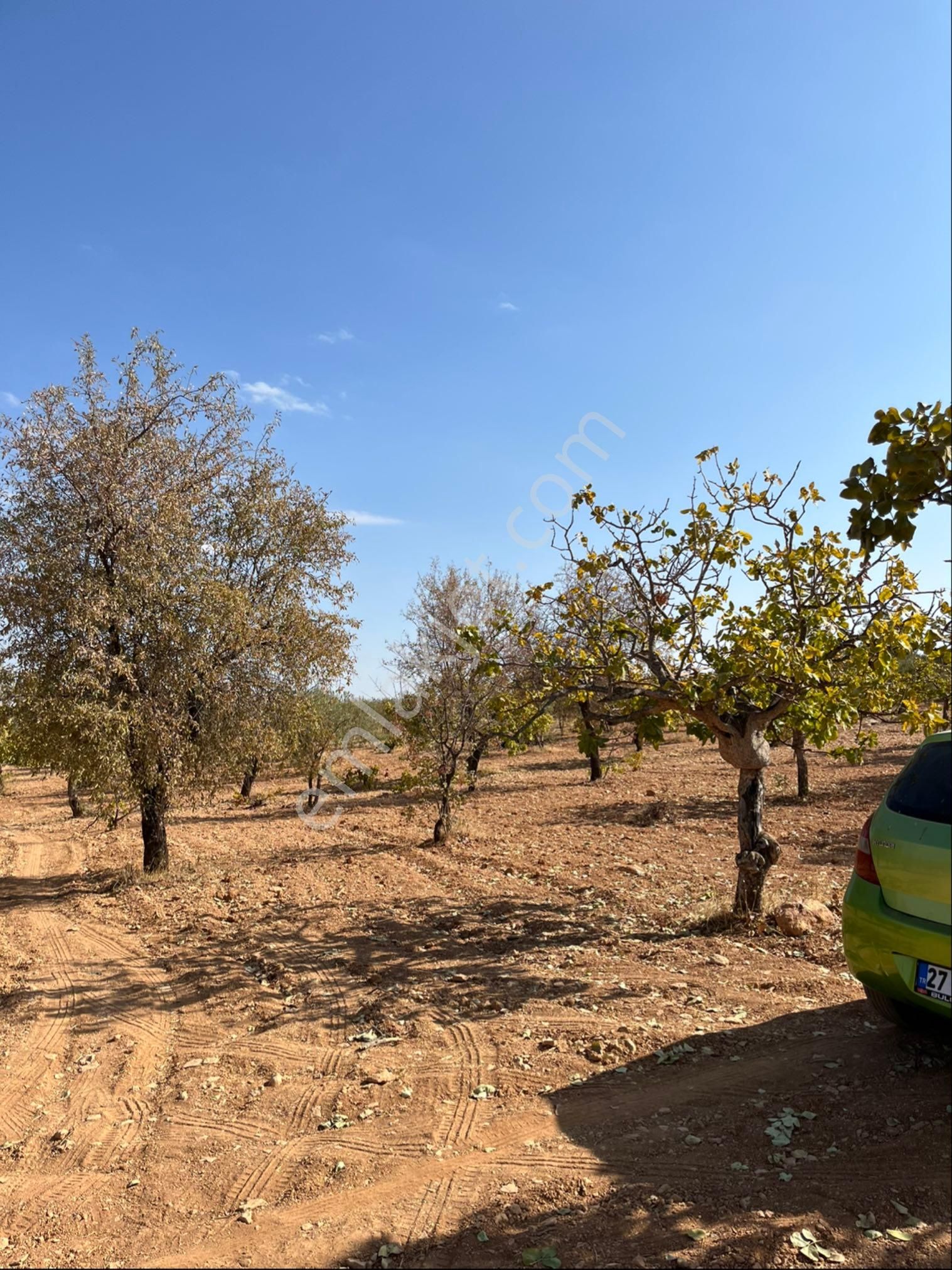 Oğuzeli Subaşında Merkeze Yakın Konumu Yüksek Çift Tapu - Görsel 5