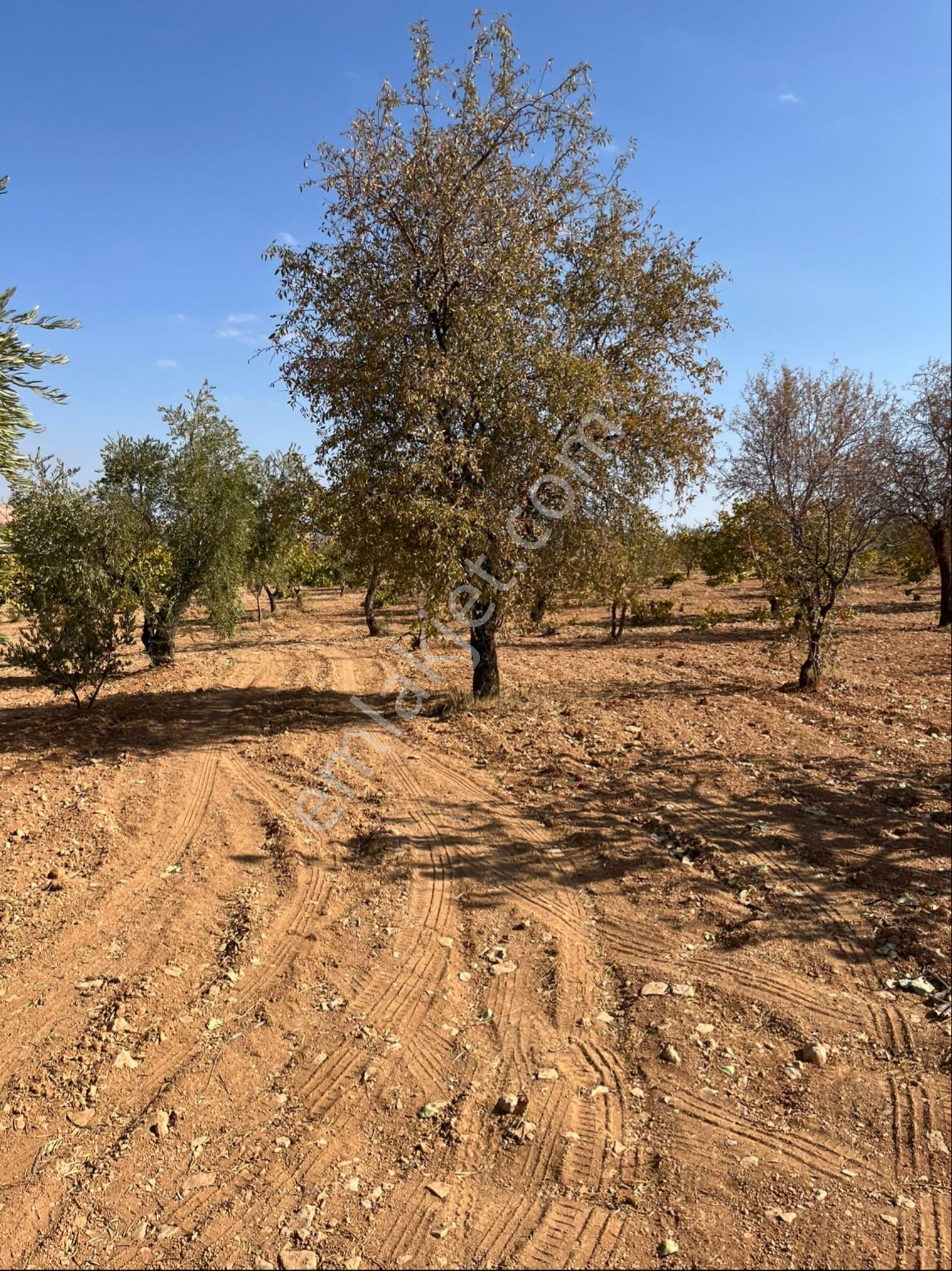 Oğuzeli Subaşında Merkeze Yakın Konumu Yüksek Çift Tapu - Görsel 6