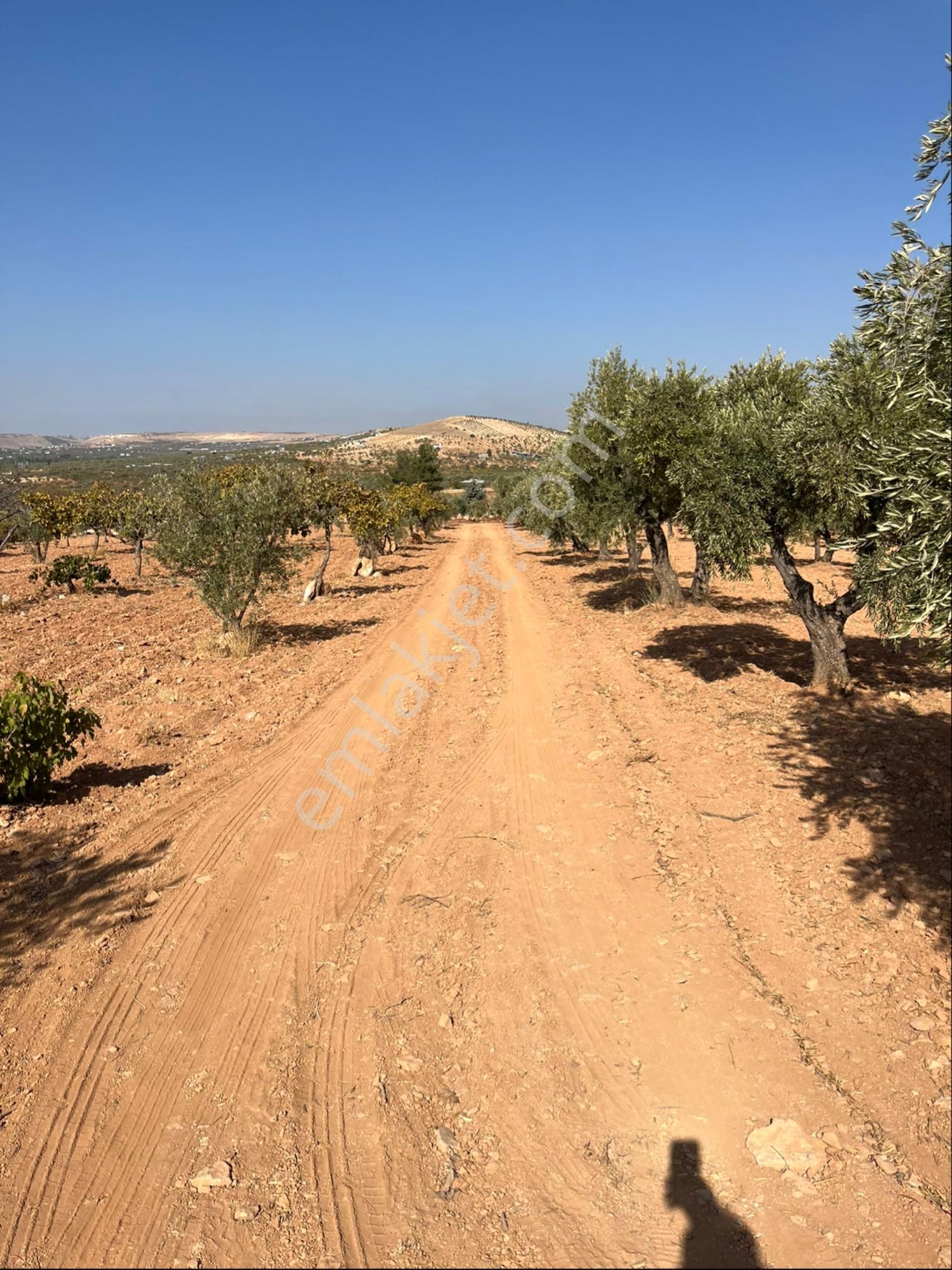 Oğuzeli Subaşında Merkeze Yakın Konumu Yüksek Çift Tapu
