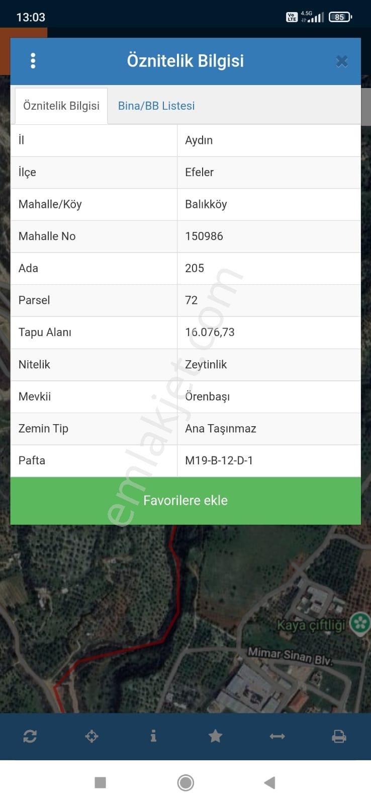 Aydın Merkez Yatırımlık Zeytinlik - Görsel 12