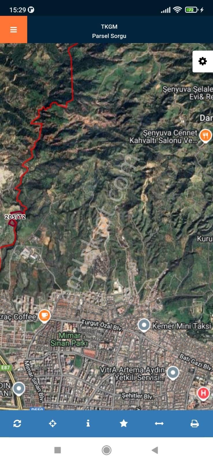 Aydın Merkez Yatırımlık Zeytinlik - Görsel 7