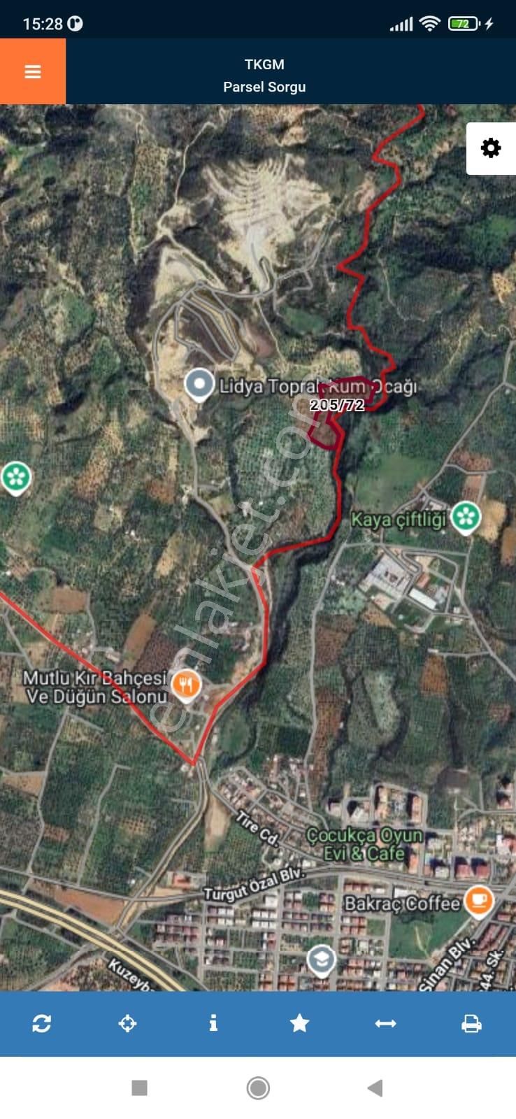 Aydın Merkez Yatırımlık Zeytinlik - Görsel 5