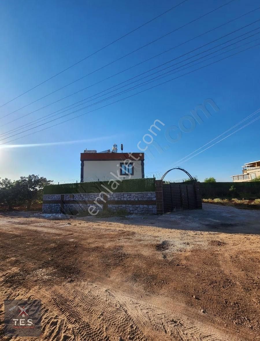 T.e.s.'den Yol Üstü Havuzlu Bakımlı Masrafsız Bağ Evi - Görsel 19