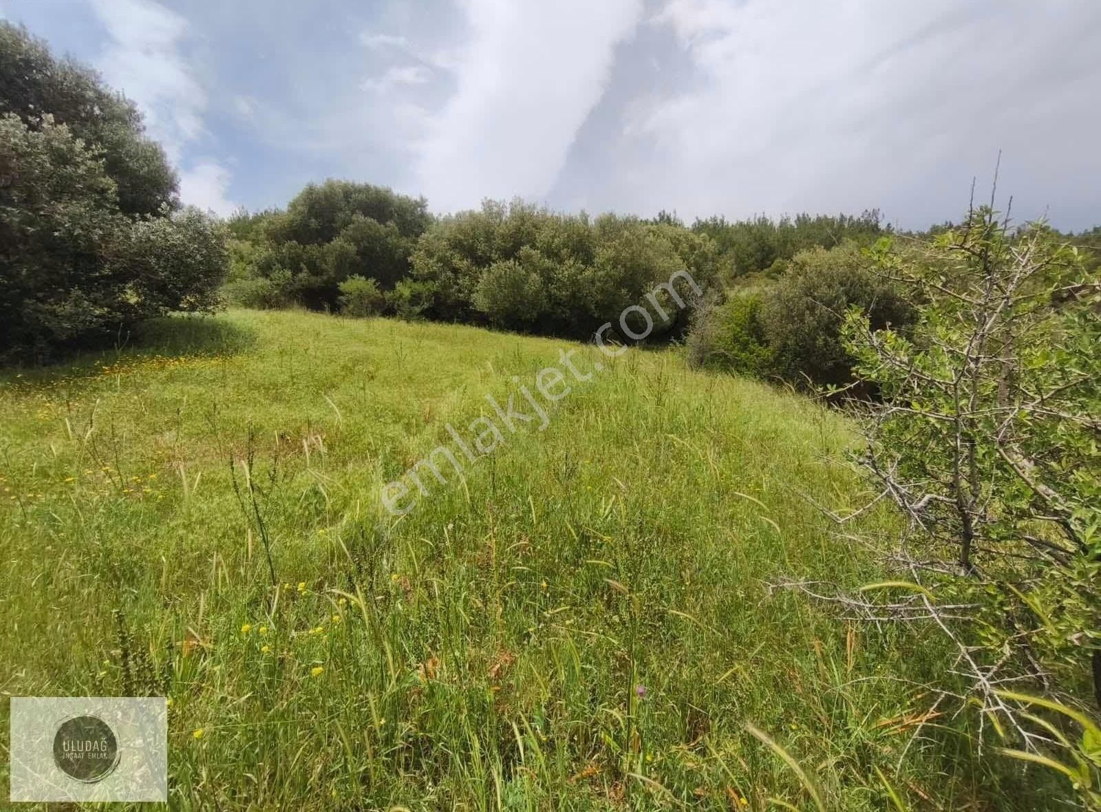 Doğa Ve Deniz Cenneti Yeni Foçada Satılık Arsa - Görsel 10