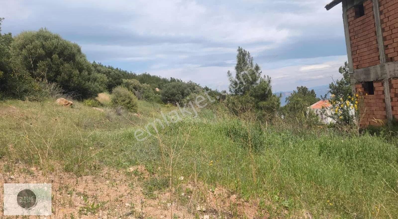 Doğa Ve Deniz Cenneti Yeni Foçada Satılık Arsa