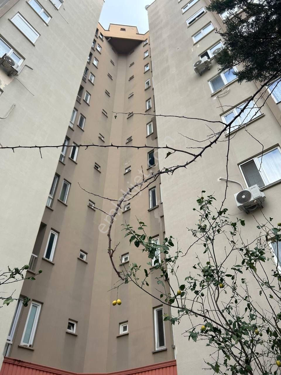 Güzelobada Denize Yakın Tadilatlı 3+1 Daire - Görsel 13