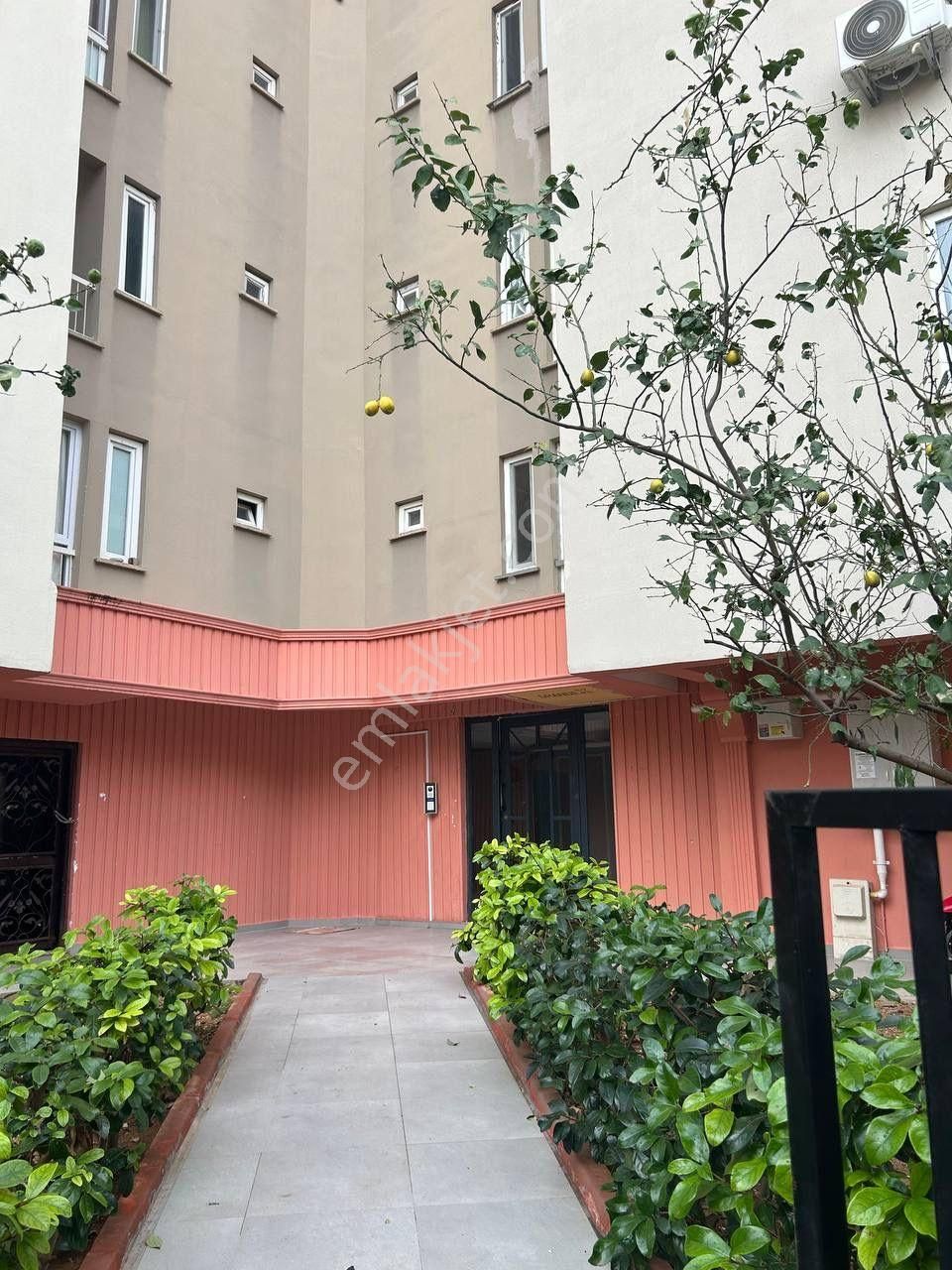 Güzelobada Denize Yakın Tadilatlı 3+1 Daire - Görsel 15