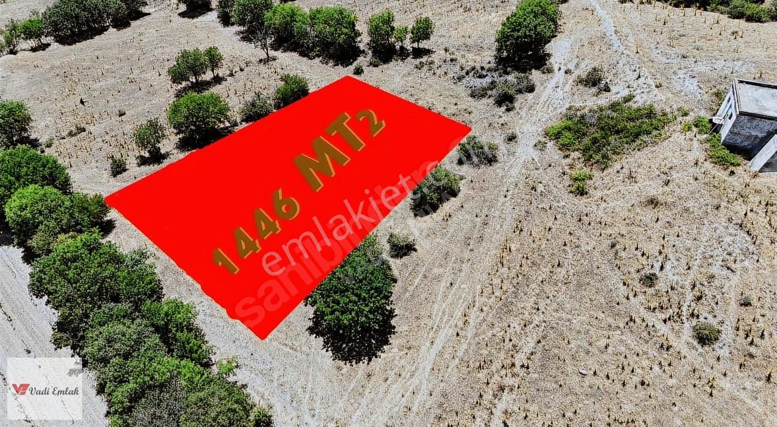 Vadi Emlak'tan Güryıldız'da Satılık Tek Tapu Hobi Bahçesi