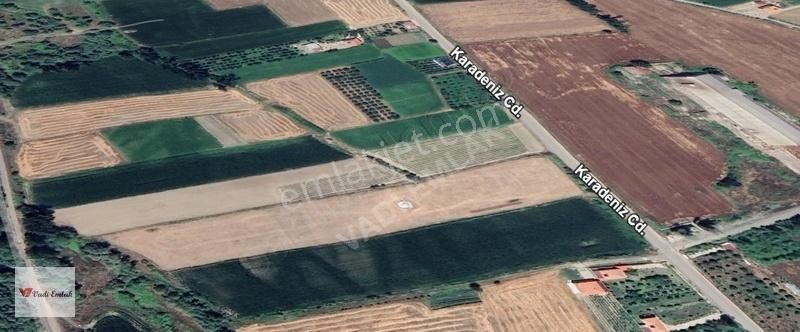 Vadi Emlak'tan Büyükyıldız'da Yatırımlık Satılık Tarla - Görsel 4