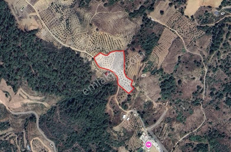 Tarıma Uygun Yatırımlık 2 Dönüm Verımlı Tarla - Görsel 3