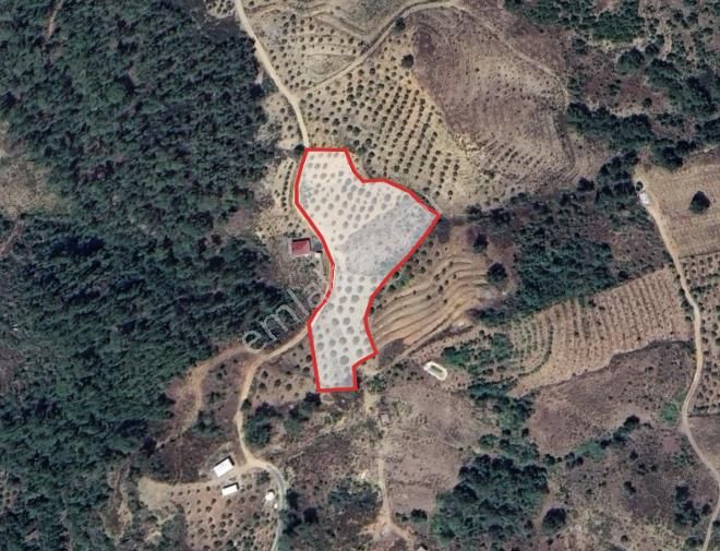 Tarıma Uygun Yatırımlık 2 Dönüm Verımlı Tarla - Görsel 2