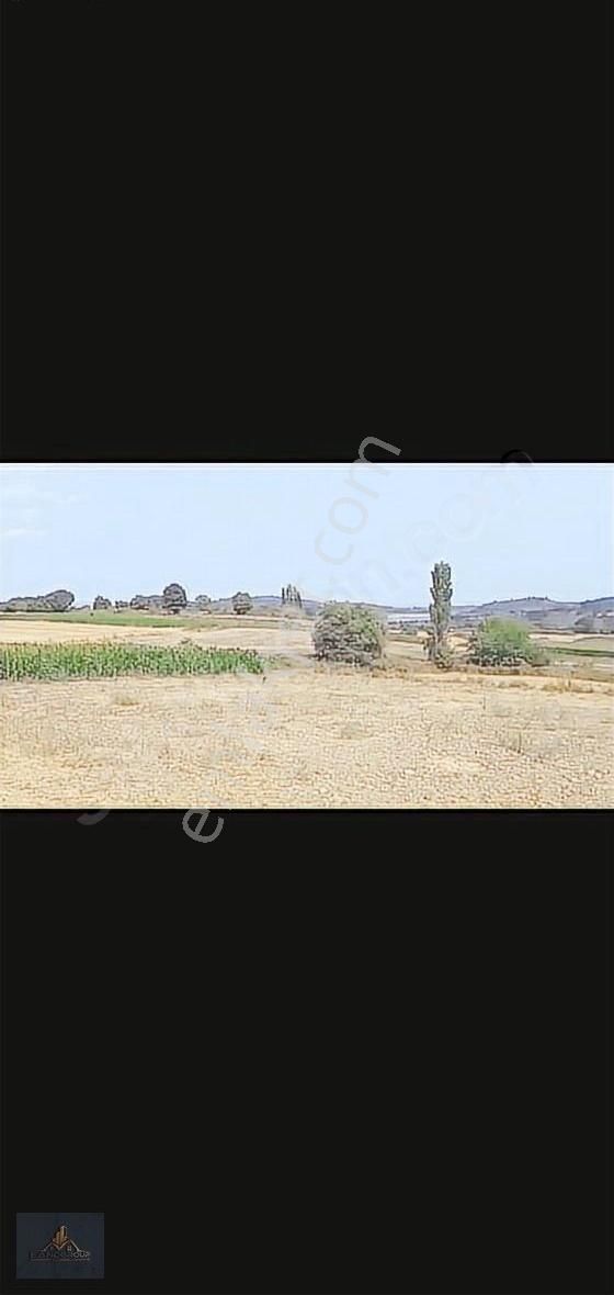 Çanakkale Lapseki Çataltepe Köyünde Satılık Tarla - Görsel 5