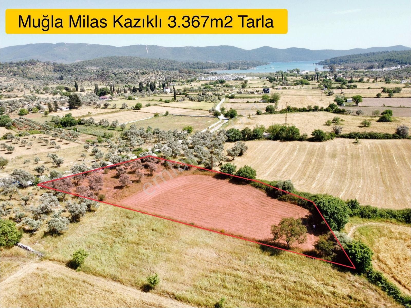 Kazıklı’da Asfalt Cepheli, Elektrikli, Müstakil Arazi – Kaçırılmayacak Yatırım - Görsel 2