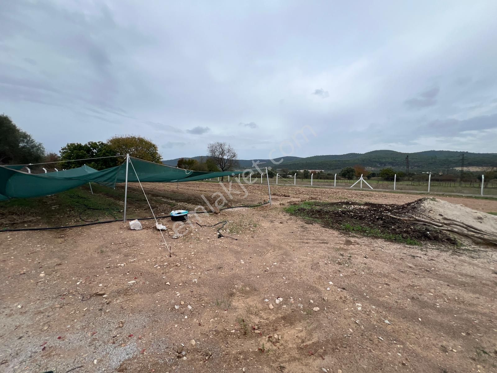 Kazıklı’da Asfalt Cepheli, Elektrikli, Müstakil Arazi – Kaçırılmayacak Yatırım - Görsel 12