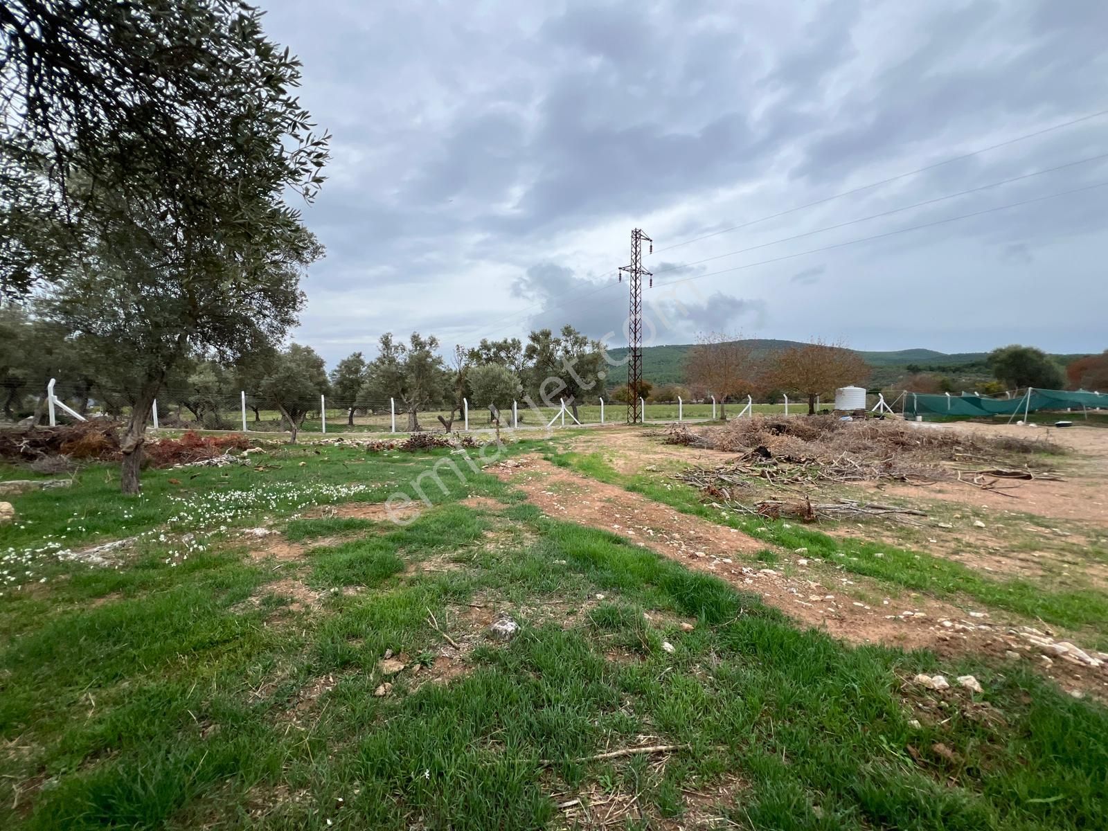 Kazıklı’da Asfalt Cepheli, Elektrikli, Müstakil Arazi – Kaçırılmayacak Yatırım - Görsel 7