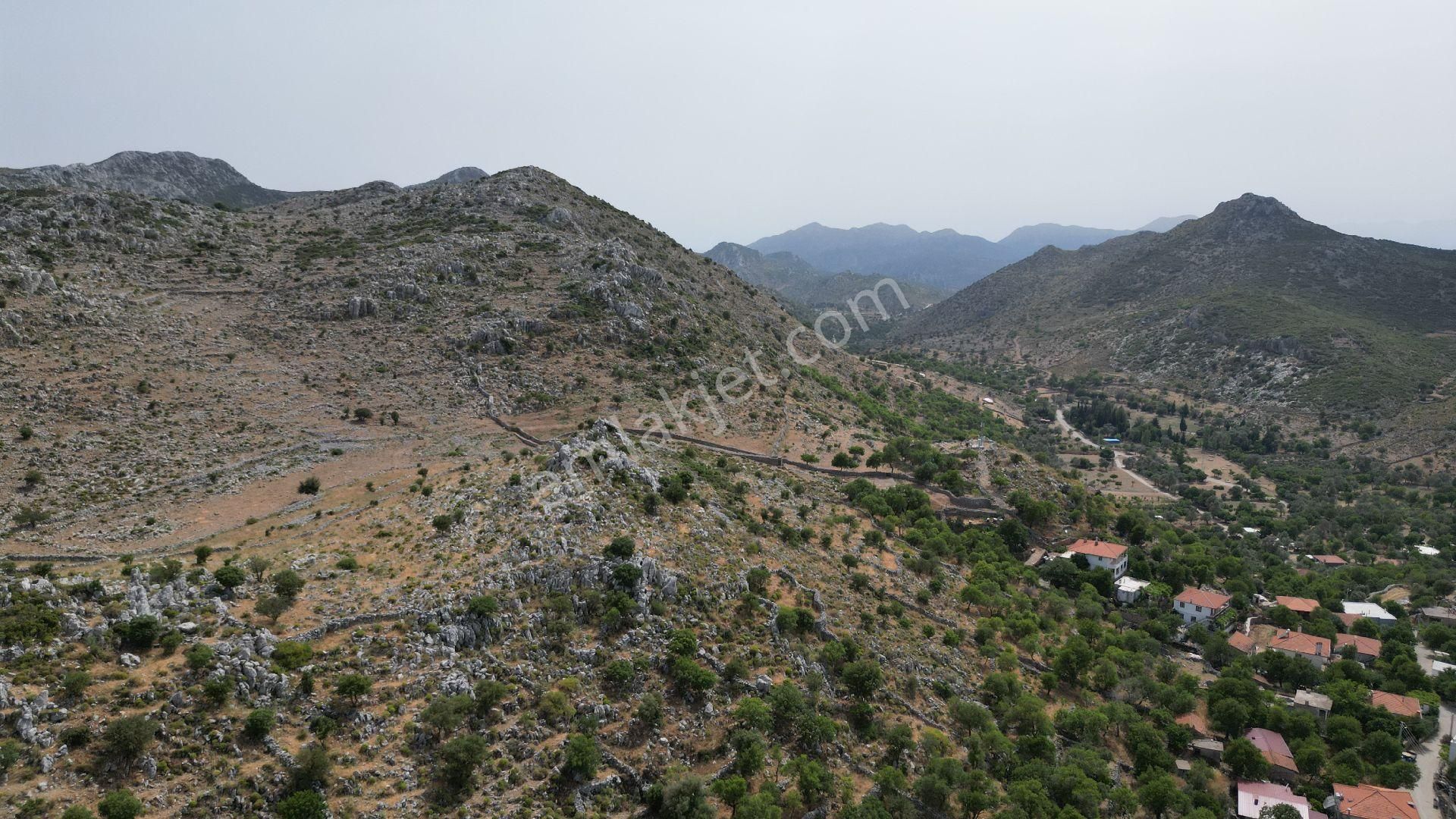 Joker: Köy Merkezine 750 Metre Yakınlıkta Yol Cephe Yatırıma Uygun Tarla - Görsel 6