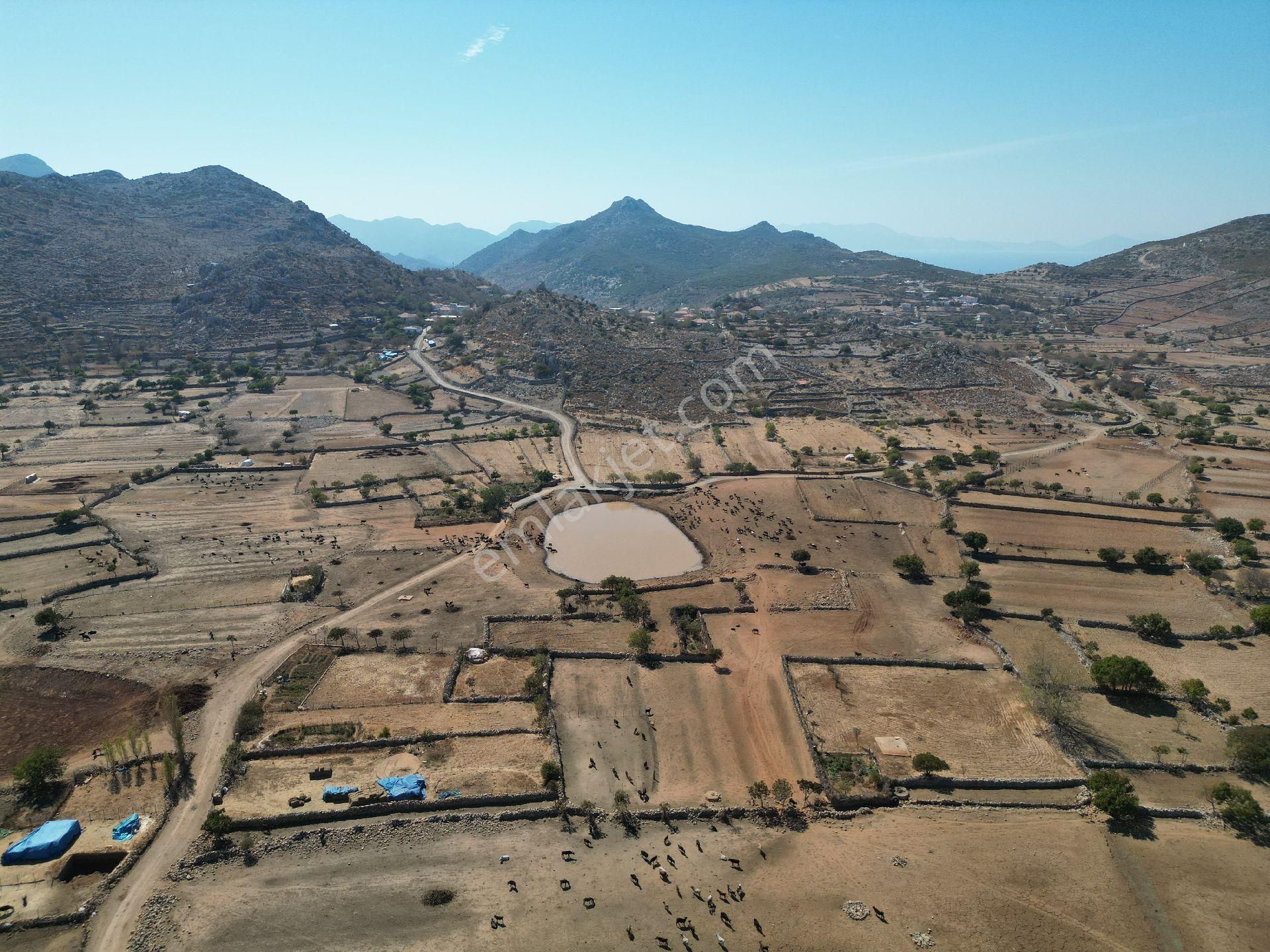 Joker: Köy Merkezine 750 Metre Yakınlıkta Yol Cephe Yatırıma Uygun Tarla - Görsel 10